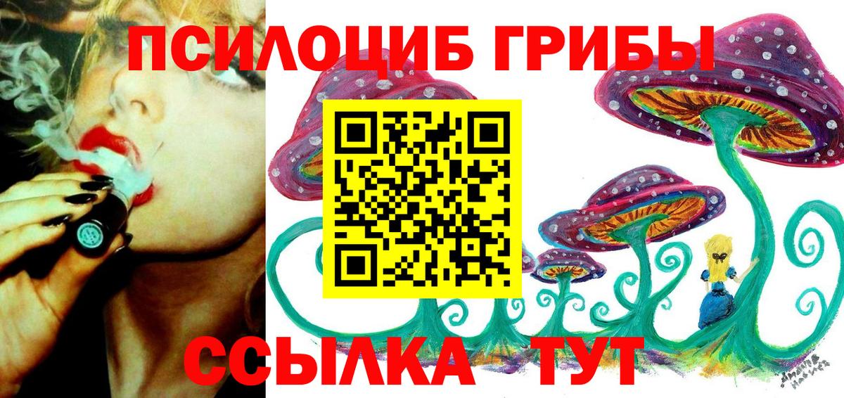 Псилоцибиновые грибы мицелий  Вход с VPN  Курчатов  Галлюциногенные грибы Cubensis 