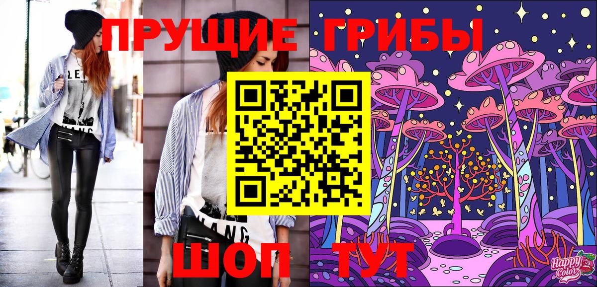 Галлюциногенные грибы Psilocybine cubensis Курчатов